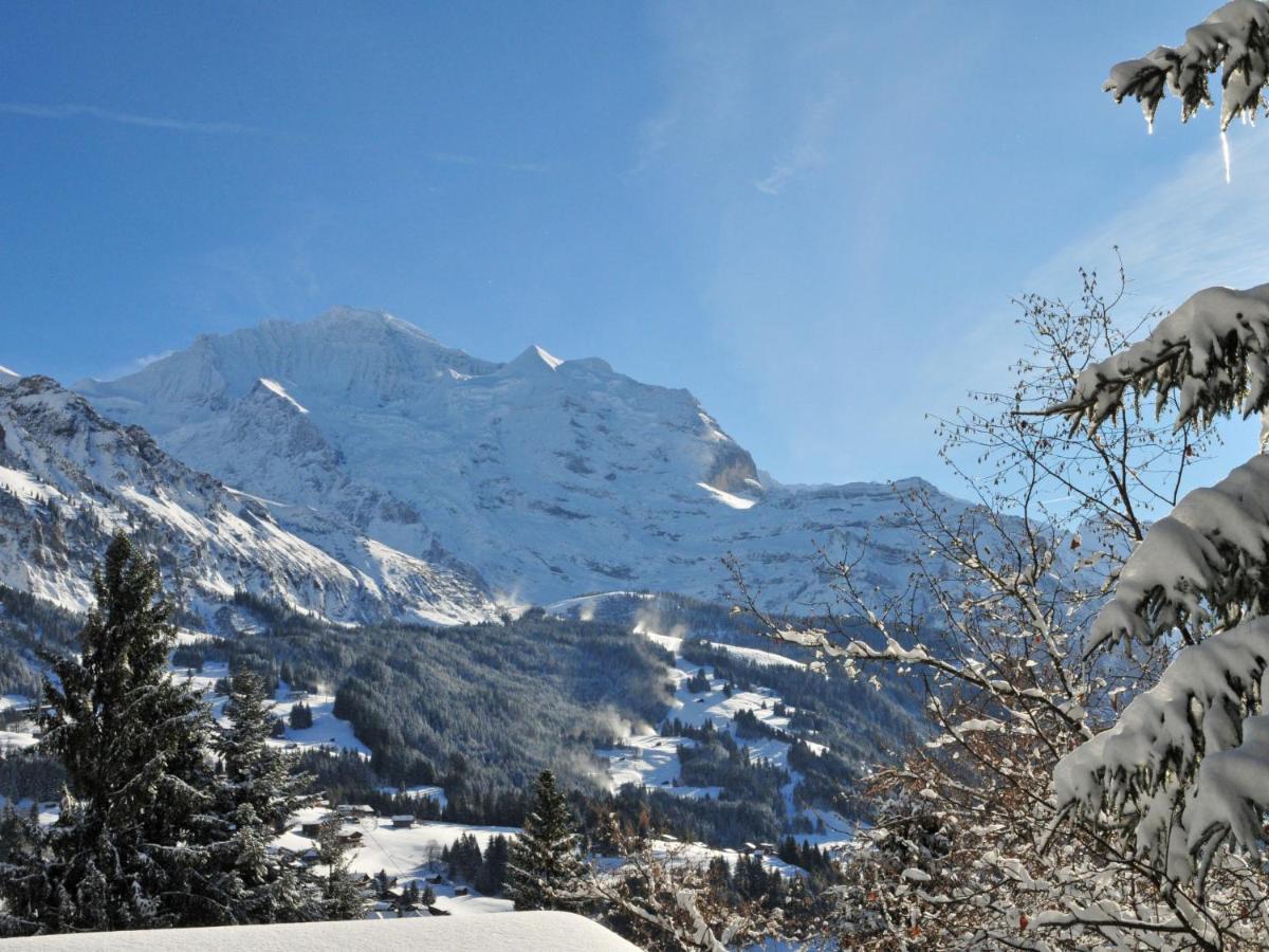 Apartment Sulegg By Interhome Wengen Dış mekan fotoğraf